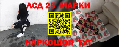 стаф Обнинск