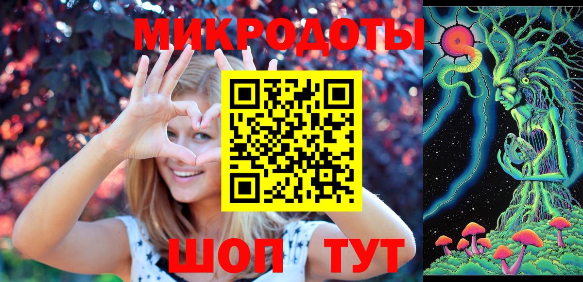 Славгород  Галлюциногенные грибы Psilocybine cubensis  Вход с VPN 