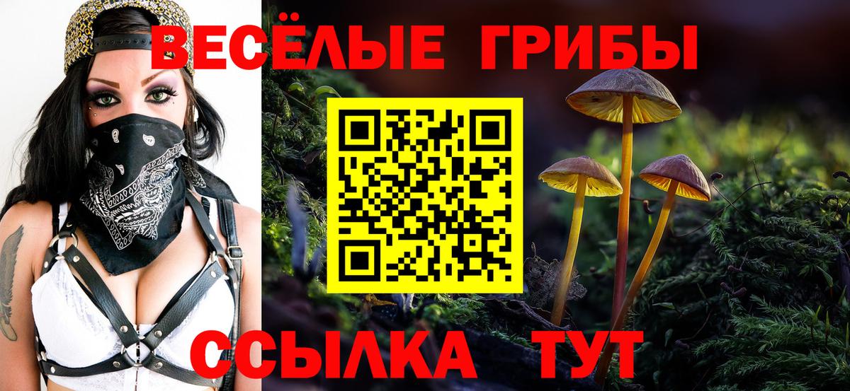 Псилоцибиновые грибы мухоморы Славгород